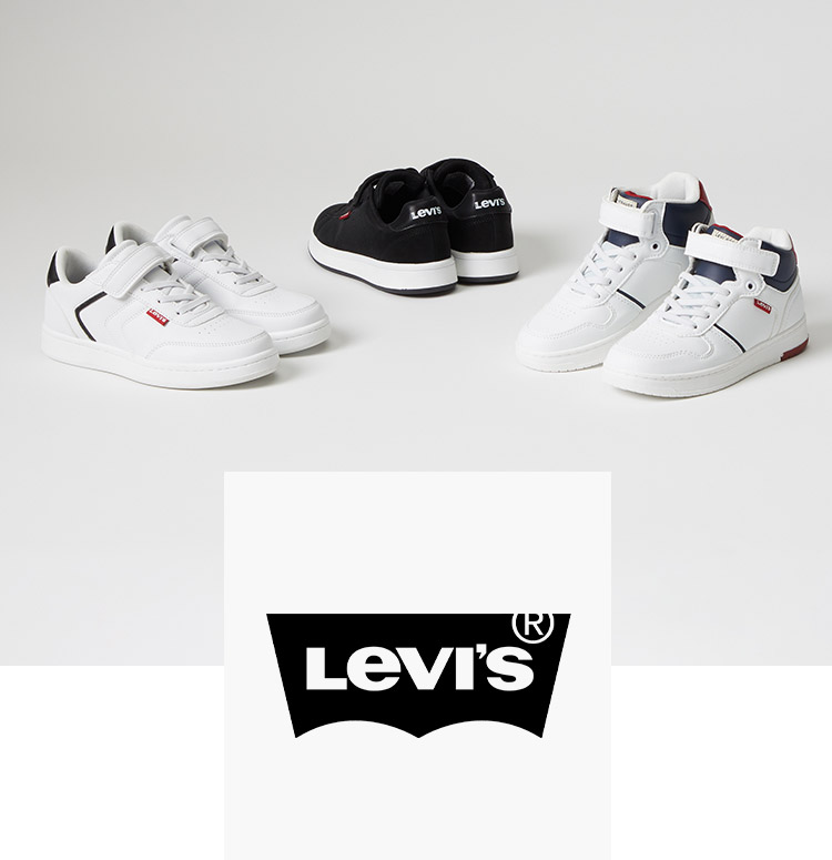 Brand Logo Levis